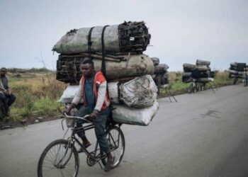 Kindu : le prix du sac de « Makala » passe de 35 000 à 60 000 FC