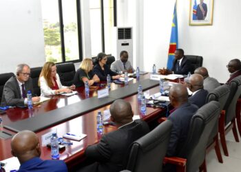 La RDC à l’affût de 58,4 milliards USD pour son industrialisation