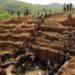 Lualaba: des militaires impliqués dans l’exploitation des minerais dans les concessions privées 