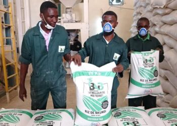 RDC: distribution imminente d’un lot d’engrais chimiques « don » de Tshisekedi aux structures agricoles