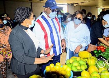 RDC: « le comportement du FC face au dollar impacte sur le panier de la ménagère » ( F. Tshisekedi) 