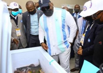 Journée nationale du poisson: Tshisekedi de retour à Kinkole trois ans après sa promesse 