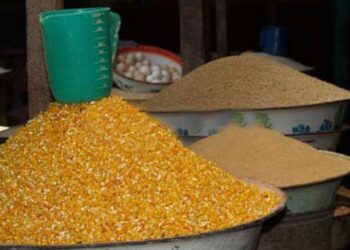 RDC: le gouvernement élabore un nouveau modèle économique pour réduire la dépendance à l&rsquo;importation du maïs