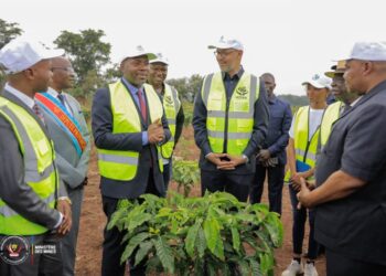 Haut-Uélé: Kizito Pakabomba favorable à la transformation de « l’or jaune » en « or vert » pour une économie diversifiée 