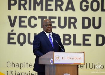 RDC: Félix Tshisekedi nomme les animateurs de la société Primera Gold RDC SA