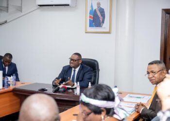 RDC: Doudou Fwamba annonce la mise en place d&rsquo;un plan de formation spécifique destiné aux agents de la DGRAD et de la DPRC