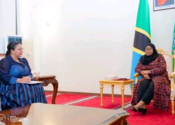 La RDC et la Tanzanie pour le renforcement de la coopération économique 