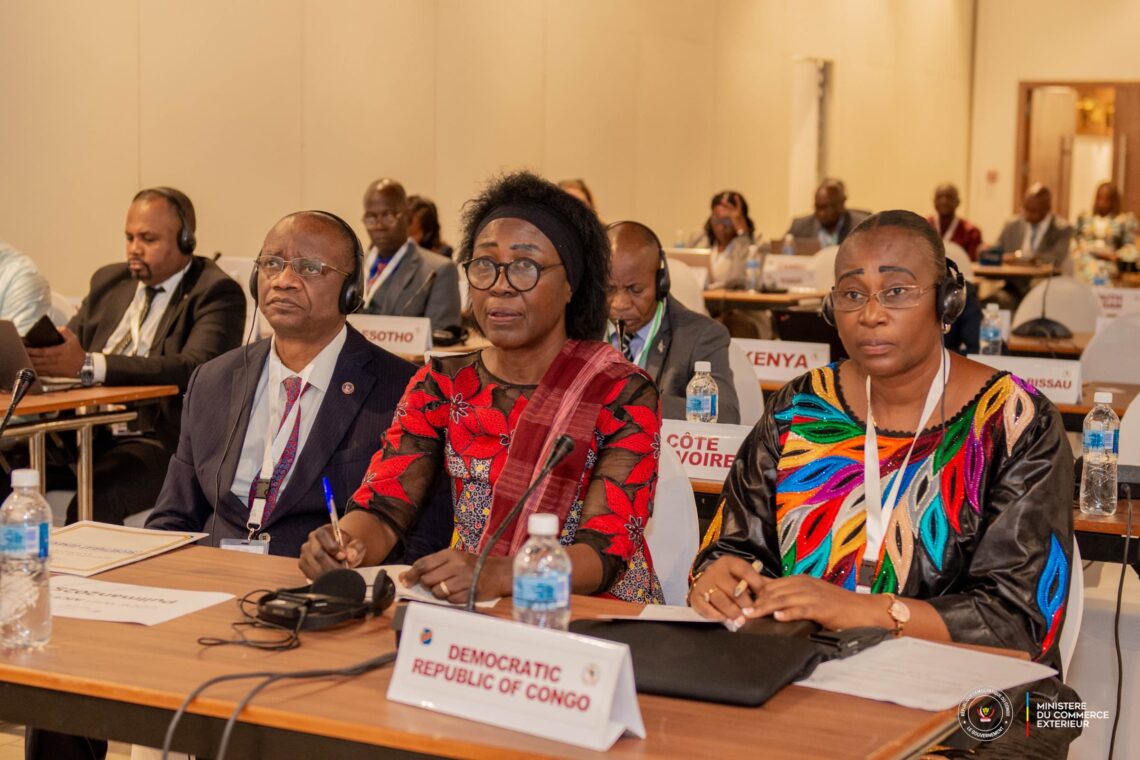 16e réunion de la ZLECAF: lancement des réunions préparatoires à Kinshasa 