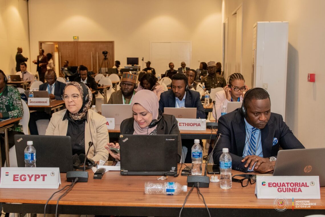 16e réunion de la ZLECAF: les experts balisent la voie vers la suppression des barrières tarifaires
