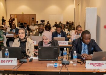 16e réunion de la ZLECAF: les experts balisent la voie vers la suppression des barrières tarifaires