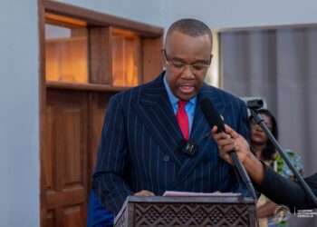 RDC: outillés sur la SPED, les experts de l’ANAPEX appelés à promouvoir les exportations et les investissements à impact commercial