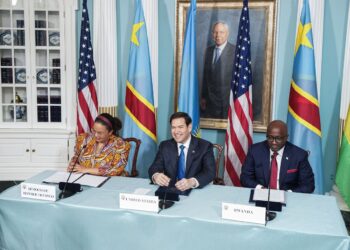 RDC-Rwanda: « une paix durable dans la région ouvrira la voie à de nouvelles opportunités commerciales » ( USA) 