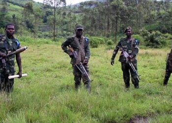 Sud-Kivu : « l’ennemi est encore très loin », les FARDC démentent l’occupation d’Uvuri par le M23