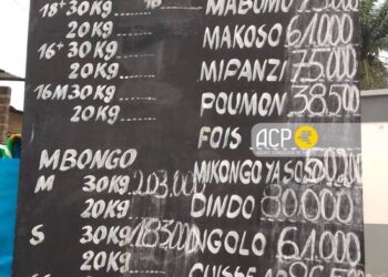 RDC : Lamuka déplore l’écart entre l’appréciation du franc congolais et les prix élevés des biens sur le marché 