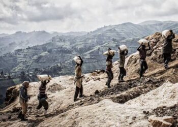 RDC: l’or d’une valeur de 70 millions USD volé par le M23 dans la mine de Twangiza