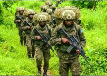 RDC : 100 millions USD des USA et des Émirats Arabes Unis pour la création d’une unité paramilitaire pour sécuriser les sites miniers