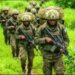 RDC : 100 millions USD des USA et des Émirats Arabes Unis pour la création d’une unité paramilitaire pour sécuriser les sites miniers