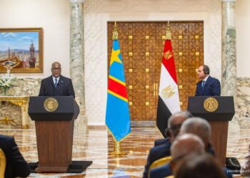 La RDC et l’Egypte concluent un accord pour la création d&rsquo;un Pavillon de chirurgie cardiovasculaire au Centre Hospitalier la Renaissance ( ex Mama Yemo)