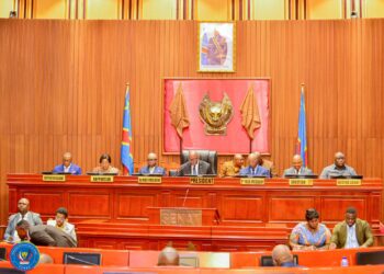 RDC: financement du projet du programme présidentiel « Débout jeunes congolais », le contenu local, la Programmation militaire 2027-2030…parmi les matières de la session extraordinaire du Sénat