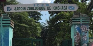 Kinshasa : l’Hôtel de ville annonce la construction d’un marché moderne sur le site du Zoo et d’un marché urbain à l’UPN