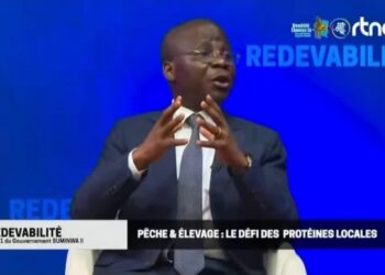 RDC : le gouvernement reconnaît avoir acheté des bateaux de pêche inadéquats, annonce de nouvelles commandes 