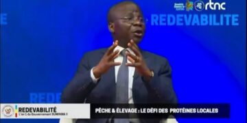 RDC : le gouvernement reconnaît avoir acheté des bateaux de pêche inadéquats, annonce de nouvelles commandes 
