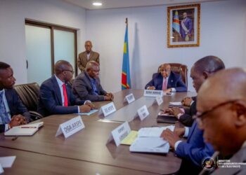 RDC: Trois ans après sa création, l’ARSPE désormais opérationnelle