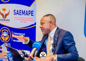 Mines : le directeur général du SAEMAPE suspendu pour manquements dans les zones minières concédées