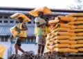 RDC : face à la flambée du « meka » à Mbuji-Mayi, le gouvernement injecte de la farine de maïs subventionnée
